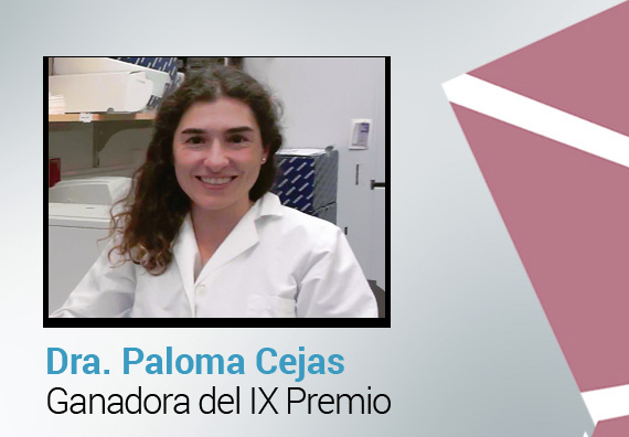 foto paloma